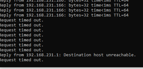Ping Timeout: Destination host unreachable