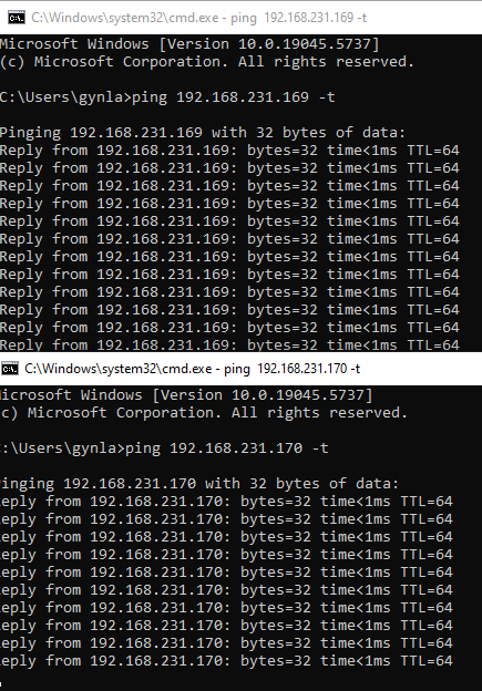 [Source 83] Ping test before crash