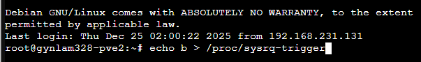 [Source 85] Console input crash command