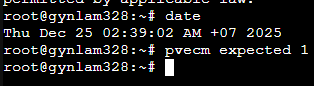 [Source 87] Console input pvecm expected 1