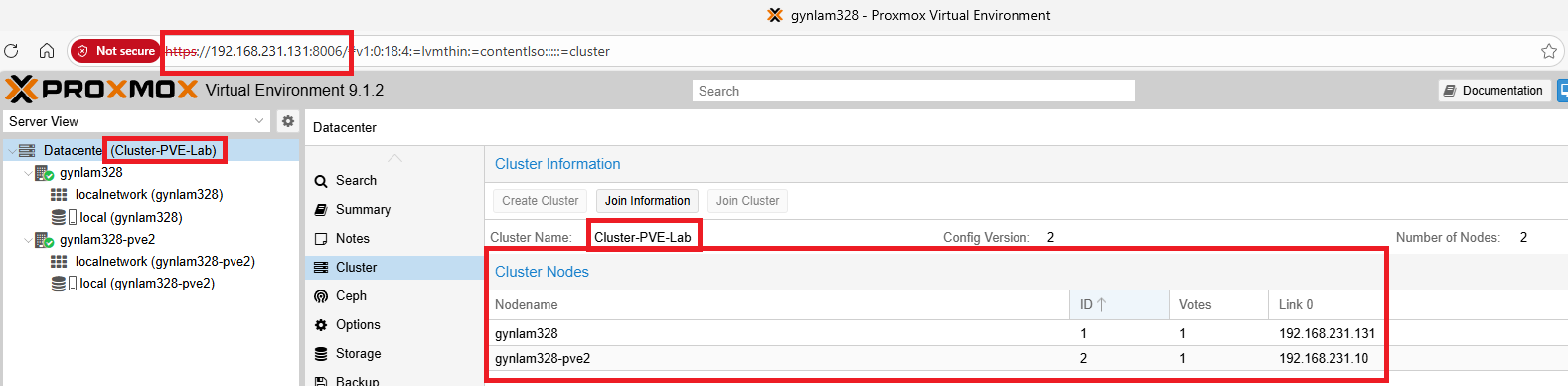 [Source 8] Both nodes visible in Datacenter