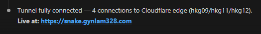 Claude confirming the Cloudflare tunnel is fully connected and running