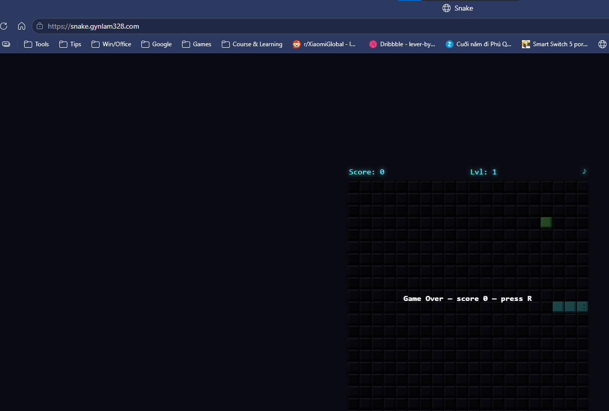Browser successfully loading the Snake Game application at snake.gynlam328.online