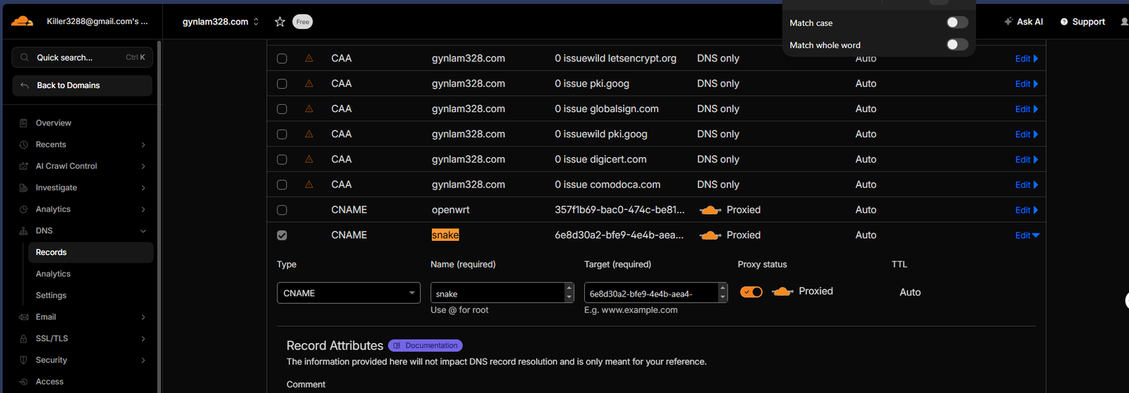 Cloudflare DNS management panel showing existing snake CNAME record from a previous tunnel