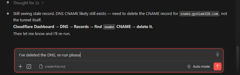 User prompting Claude to re-run the tunnel routing command after manually deleting the DNS record