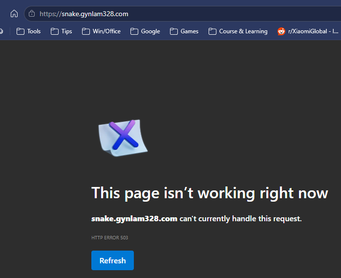 Browser showing HTTP ERROR 503 service unavailable after tunnel configuration