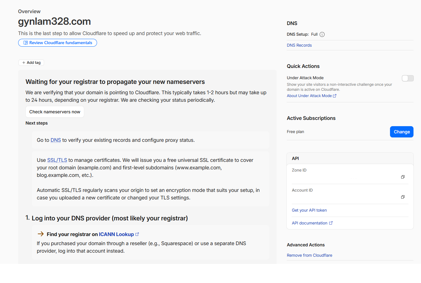Cloudflare domain overview showing pending propagation status from registrar